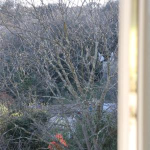 Bois des Espeisses - 22