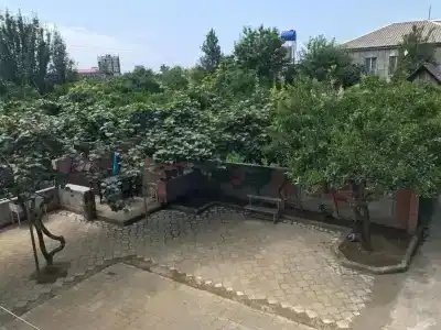 Green House - 9