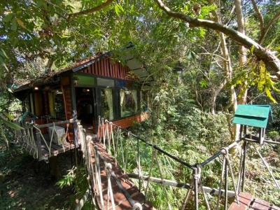 Khao sok tree house resort - 46
