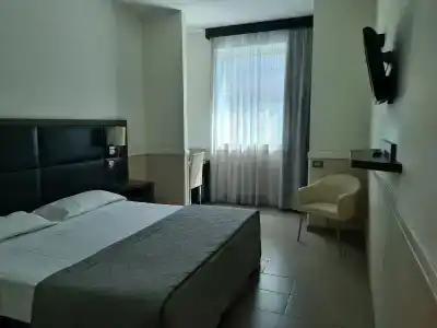 Artis - 17