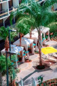 Sheraton Orlando Lake Buena Vista Resort Near Disney Springs - 23