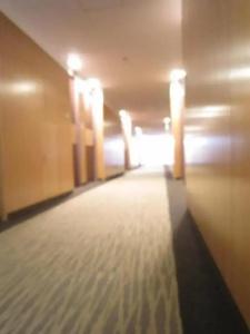 Nagaoka Grand - 10