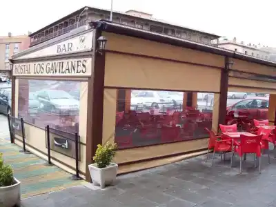 Gavilanes 2 - 15