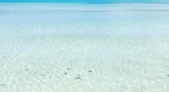 Playa Esperanza Suites - 23