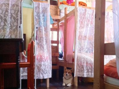 The Otarunai Backpacker's Hostel Morinoki - 40