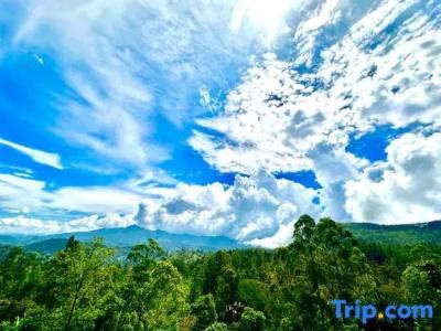 The Ella Nature Life Guest Inn - 73