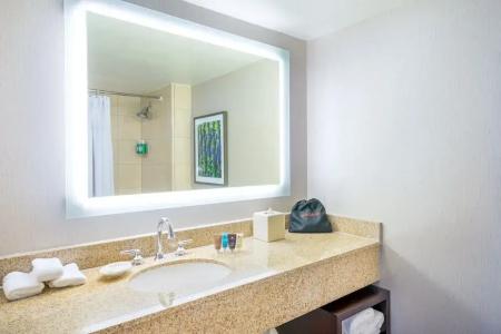 Astor Crowne Plaza New Orleans French Quarter, Corner of Bourbon and Canal - 67