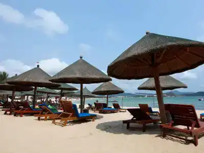Landscape Beach - 25