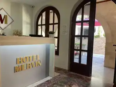 Mervin - 1
