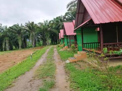 Khao Sok Evergreen House - 22