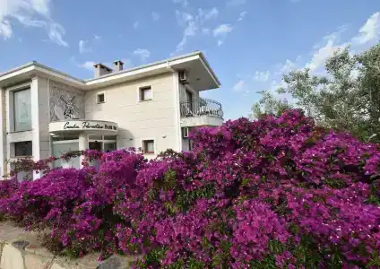 Cunda Paradise Butik Otel - 0