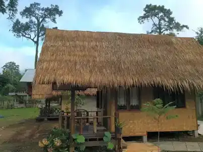 Chiang Dao Hut - 70