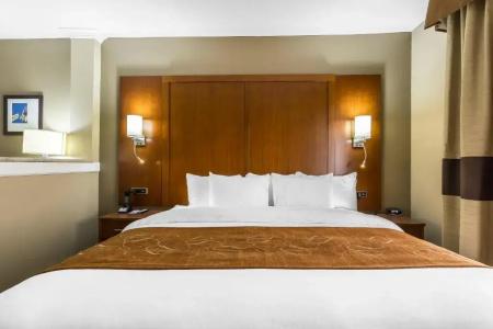 Comfort Suites - University - 60