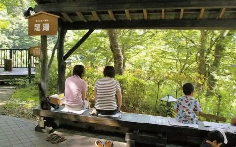 Akiu Onsen Hananoyu - 23