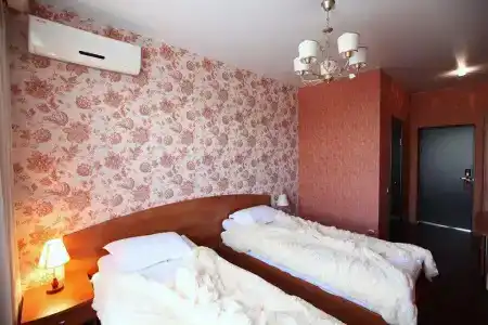 Висс - 11