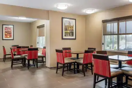 Comfort Inn & Suites North I-75 - 19