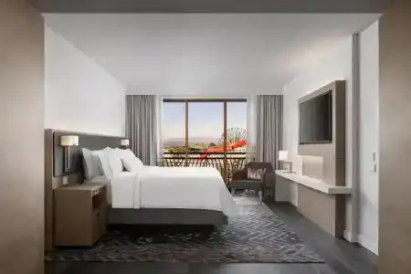 The Westin Anaheim Resort - 63