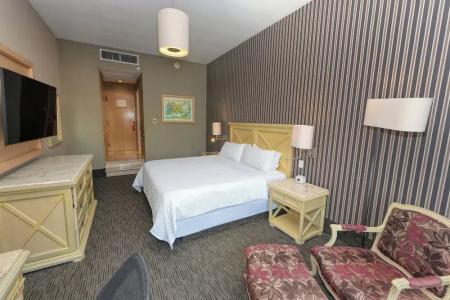 Holiday Inn Queretaro Centro Historico, An Ihg - 118