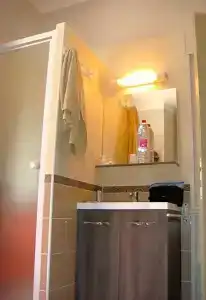 Hôtel de l'Ariana - 17