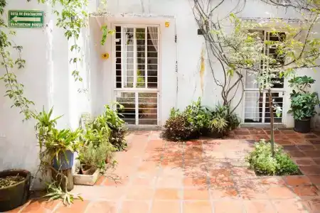 Casa Canario - 50