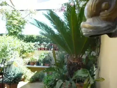 La Terrazza dei Pelargoni B&B - 5