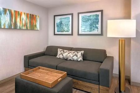SpringHill Suites by Marriott San Diego Carlsbad - 12