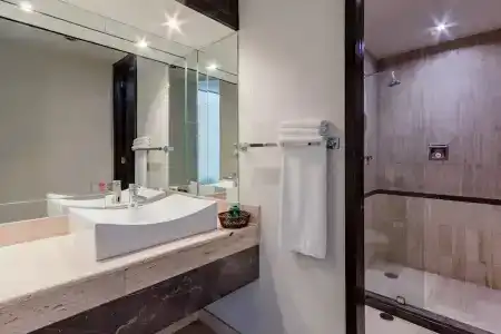 Ayenda Imperial Reforma - 62