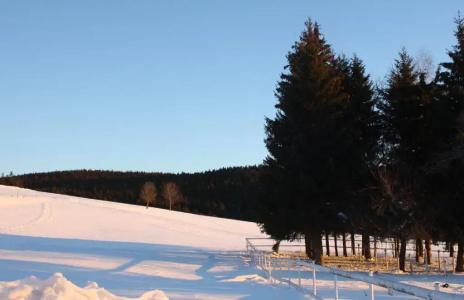 Bartlehof - 82