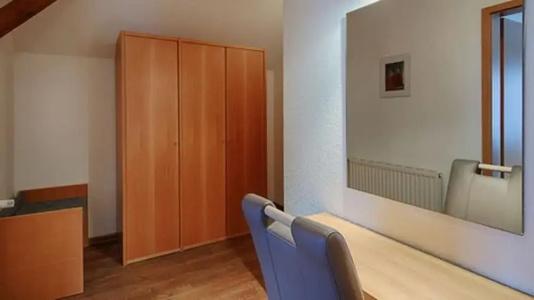 Luther Birke Wittenberg - 55