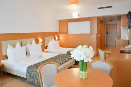 Flamingo Grand & Spa - 46