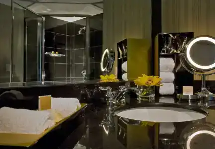 Grand Hyatt Dfw Airport - 6