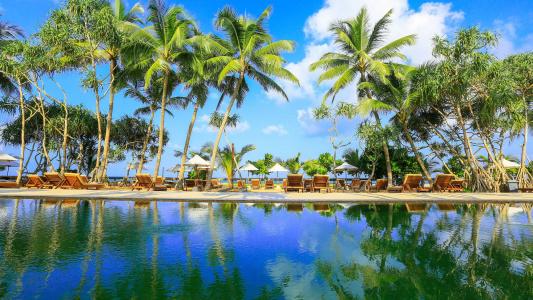 Pandanus Beach Resort & Spa - 28