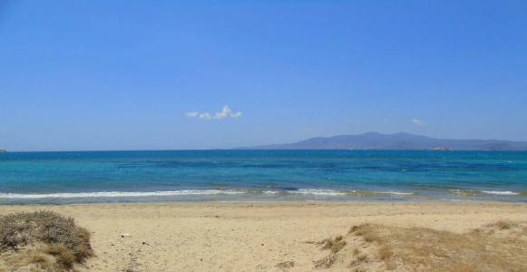 Marine Dream - 13