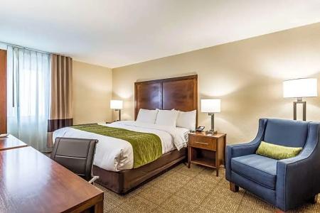 Comfort Inn & Suites Downtown - 66