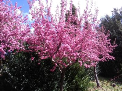 La Vittoria 10 – La Soglia della Val d’Orcia - 163