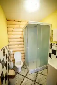 Сосны - 6