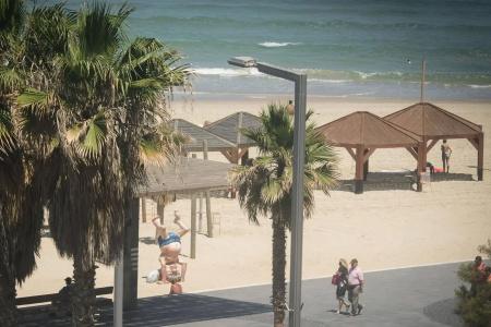 Olive Tlv 88 Sea - 29