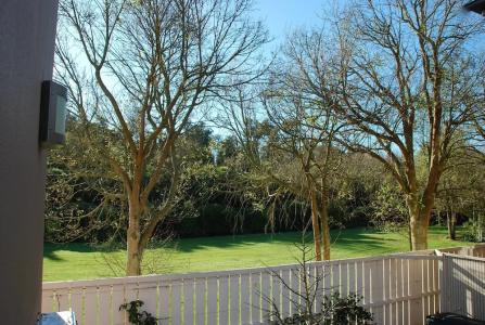 166 Majestic Court - 53