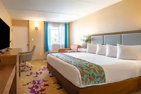 Tucson City Center, Ascend Hotel Collection - 30