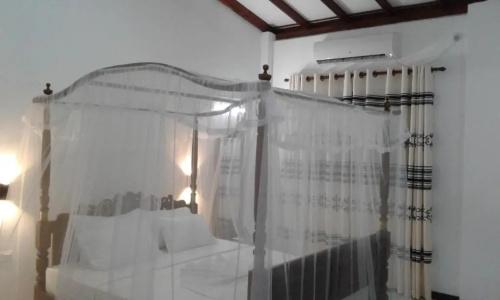 Ocean View - 41