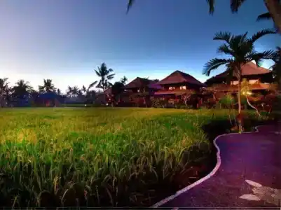 Amatara Agung Raka - 2