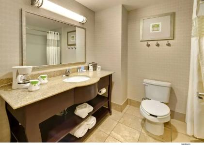 Hampton Inn & Suites - 29