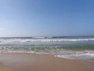 Ocean Surf Kingdom - 7