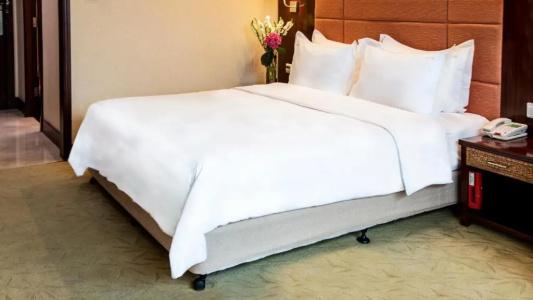 Holiday Inn Shenzhen Donghua, An Ihg - 62