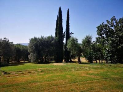 Poggio del Sole - 32
