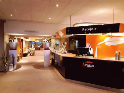 Nescio Groningen - 12