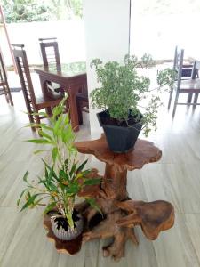 Saman Resort Yala - 42
