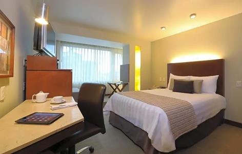Emporio Reforma - 36