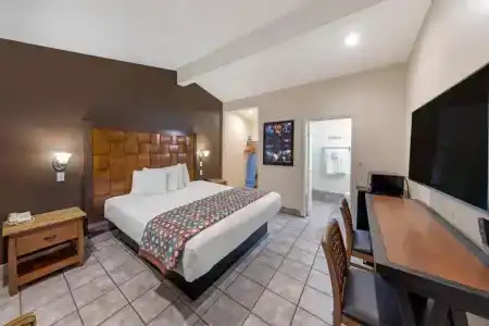 Anaheim Discovery Inn and Suites - 33