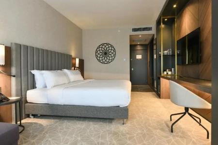 Crowne Plaza - Crowne Plaza Ankara, An Ihg - 20